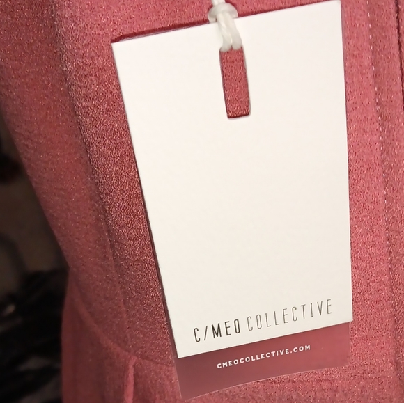 New C/MAO Collective HI Low Strapless Dress - Picture 4 of 7